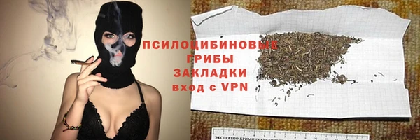 сатива Горнозаводск