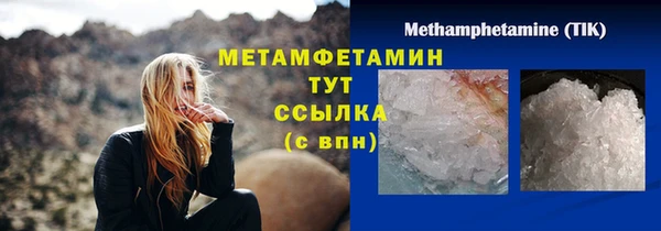 сатива Горнозаводск