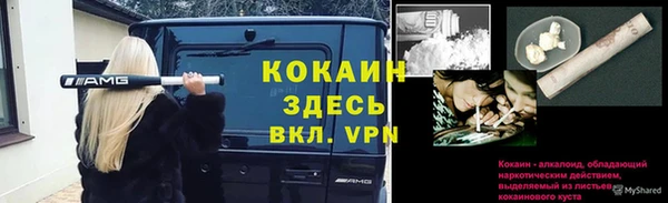 амф Горно-Алтайск