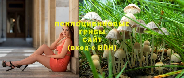 сатива Горнозаводск