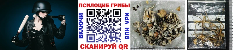 Псилоцибиновые грибы прущие грибы  Купить закладки  Киржач 